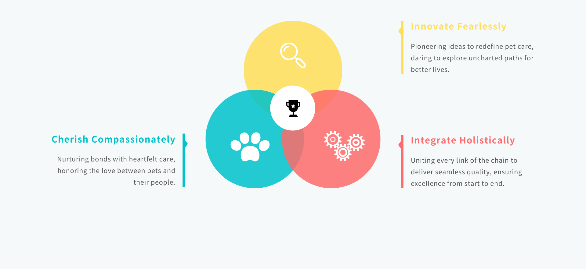 Future Vision of Asia's Top Pet Supplies Group