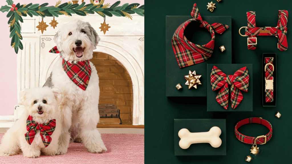 Christmas Pet Products