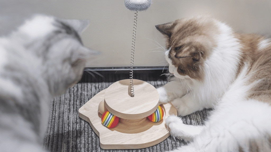 Christmas Pet Products