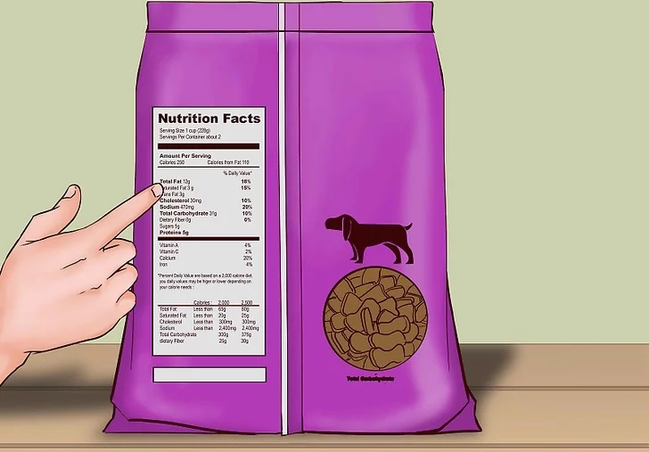 Pets' Physical Needs