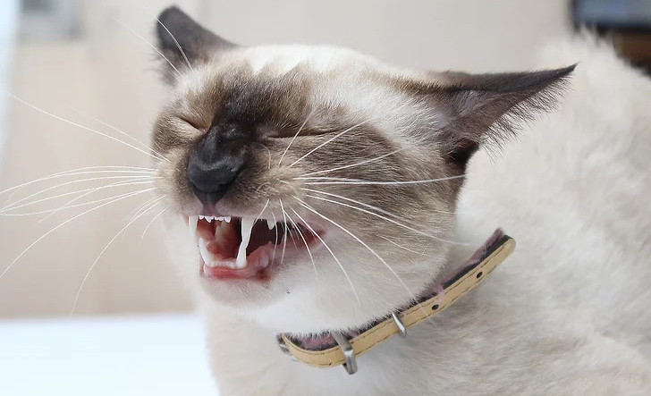 Behavioral & Environmental Factors