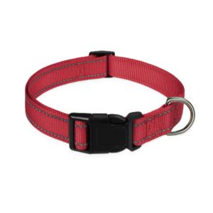Reflective Dog Collar with Buckle Adjustable